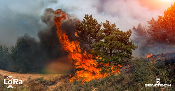 LoRaWANを活用した山火事や気候変動との闘い