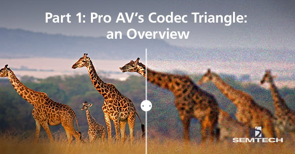 Part 1: Pro AV’s Codec Triangle: an Overview