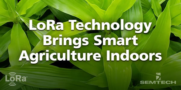 LoRa Brings Smart Agriculture Indoors in Calgary